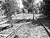 Gleisreste in der Bahnhofsausfahrt Marienwahld im Jahr 1966